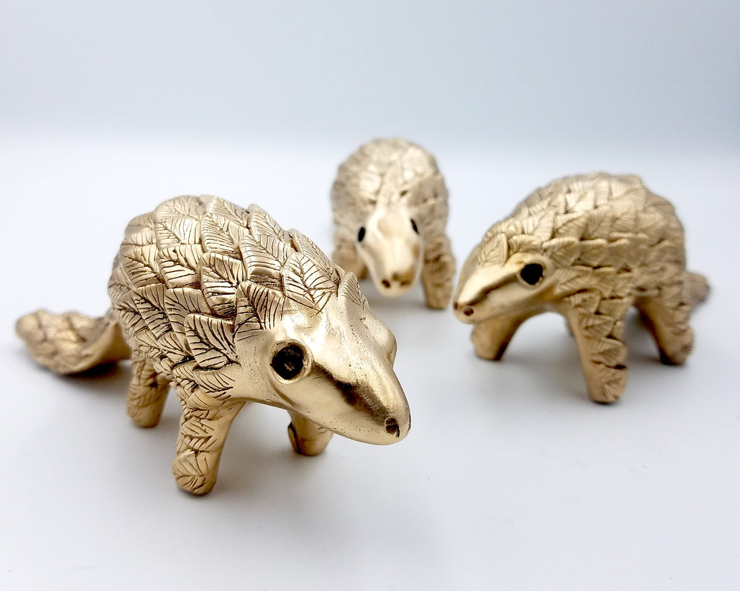 Pangolin (petit modèle)