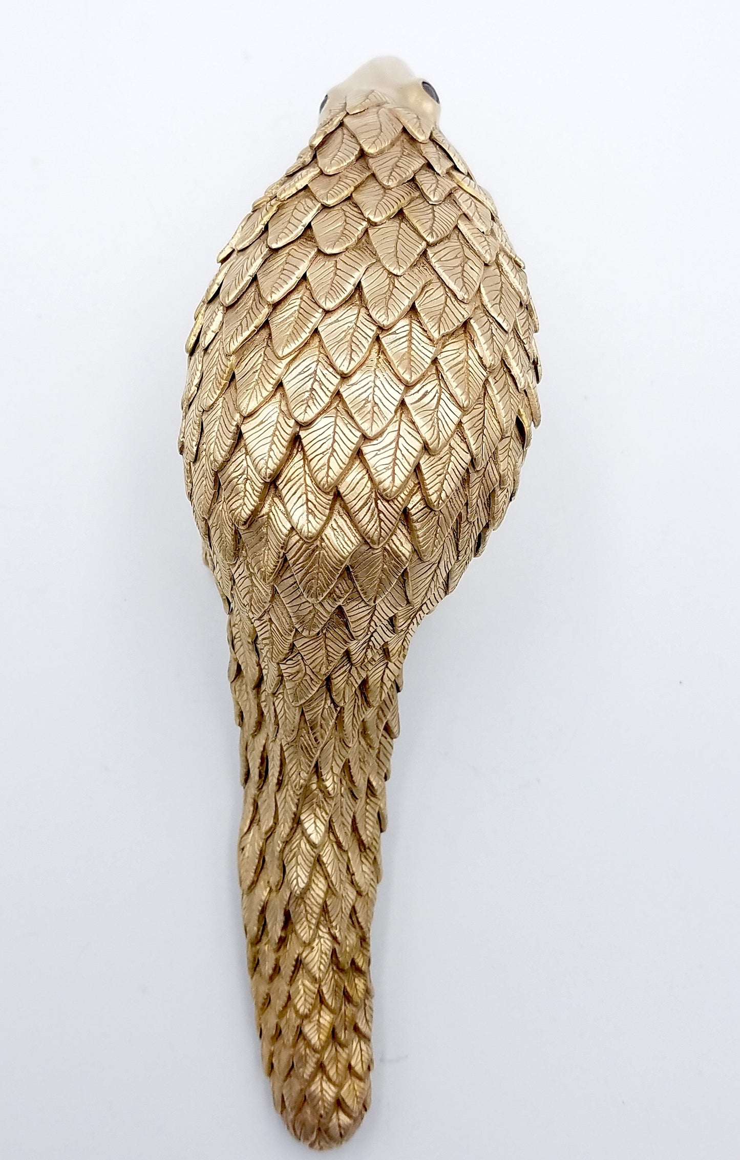 Pangolin (grand modèle)