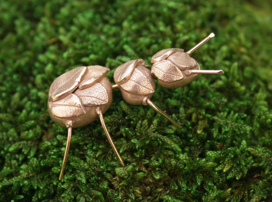 Fourmi "la feuillue"